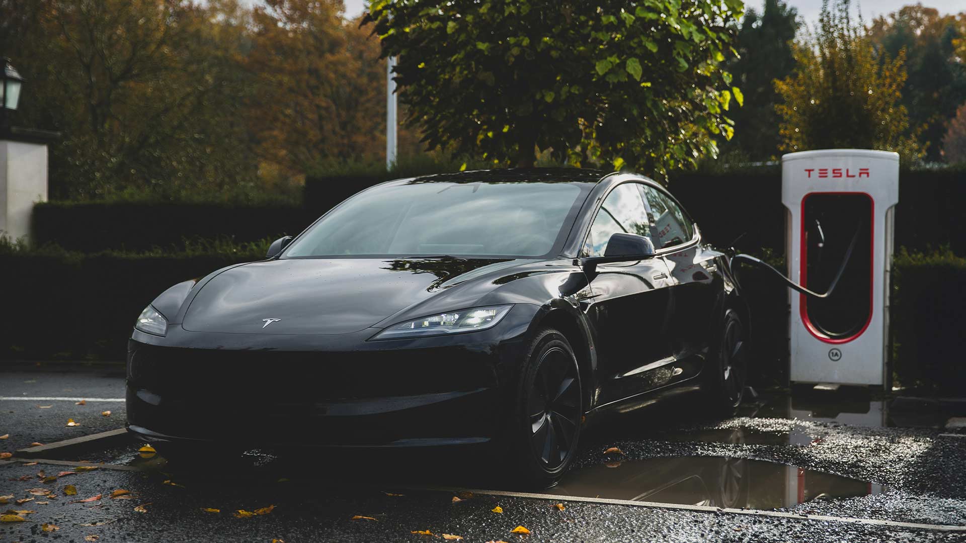 Utvald bild för Tesla ska mer än fördubbla sin årliga bilproduktion till år 2030